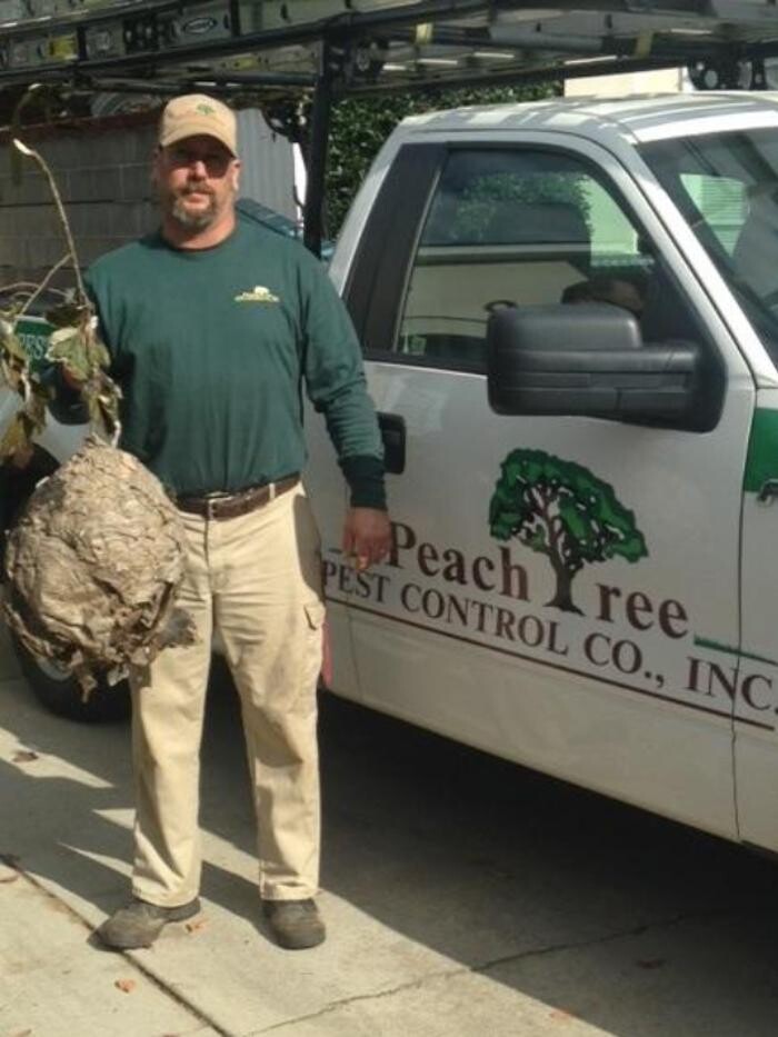 Images Peachtree Pest Control