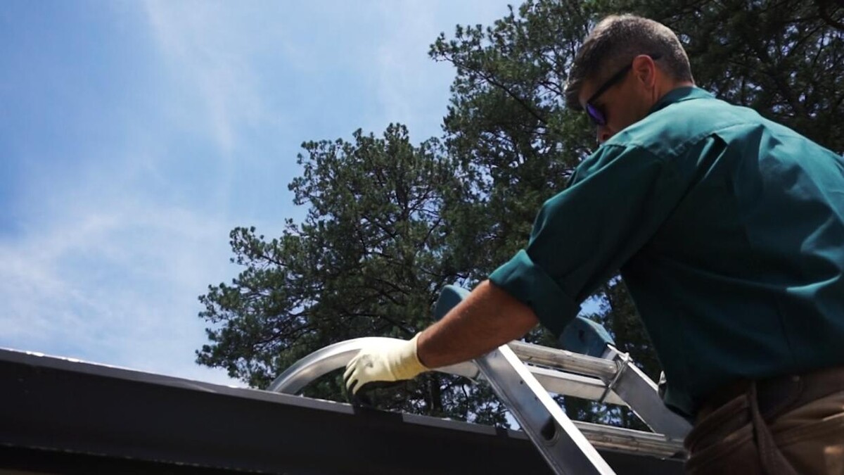 Images Peachtree Pest Control