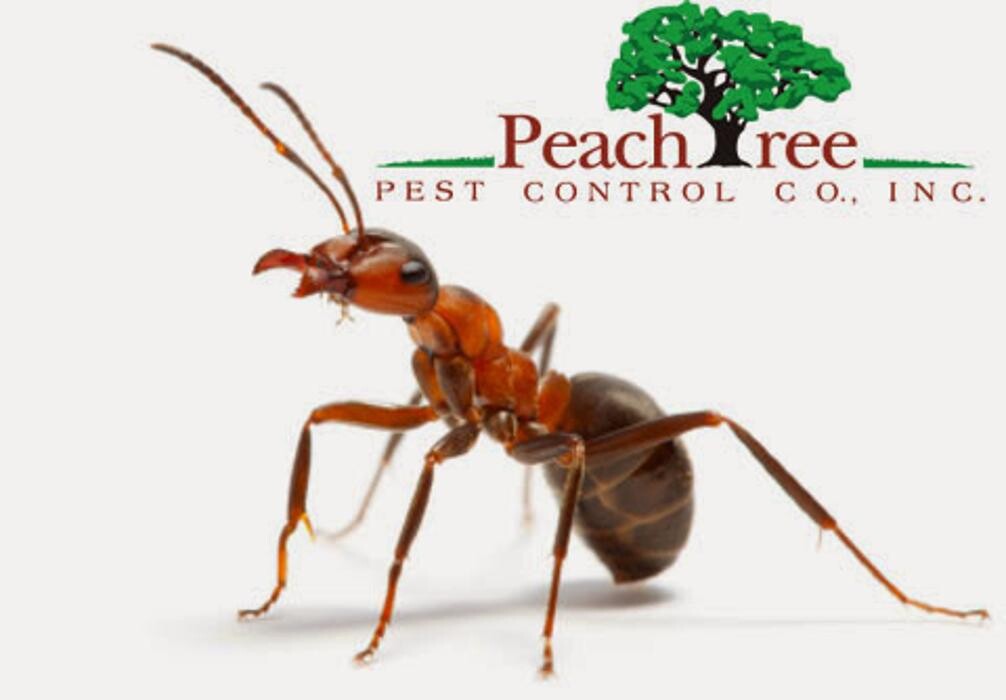 Images Peachtree Pest Control