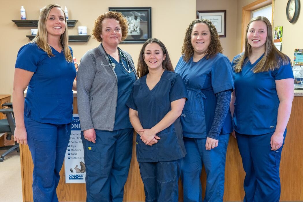 Images Snow Animal Health Care
