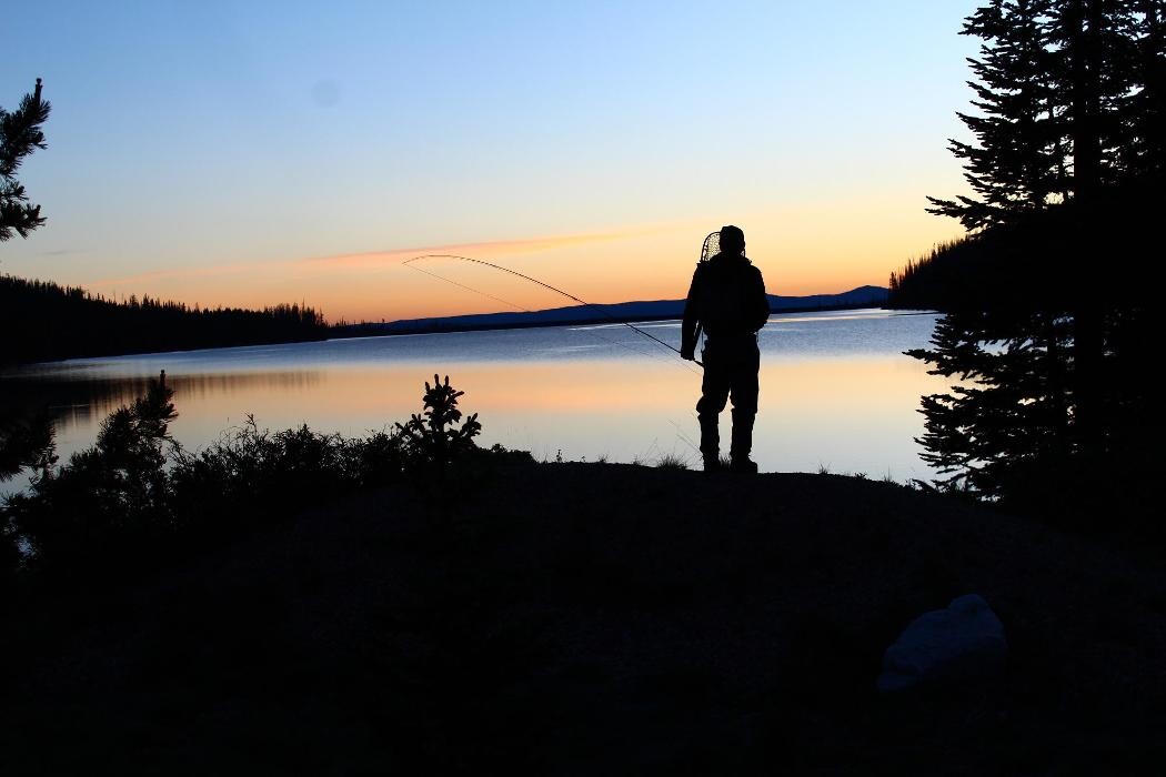 Images Anglers All Denver