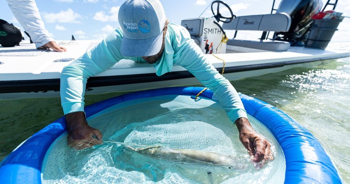Images Anglers All Denver