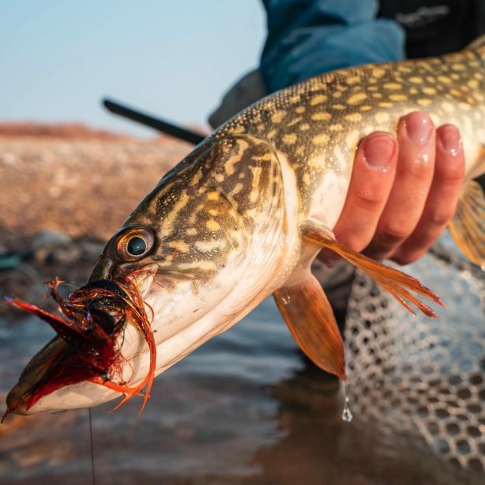 Images Anglers All Denver