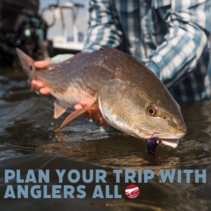 Images Anglers All Denver