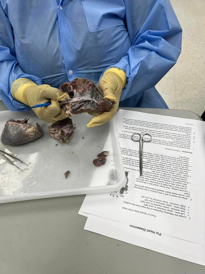 Images Unitech Training Academy