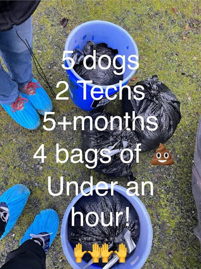 Images Pain In The Grass Sanitation