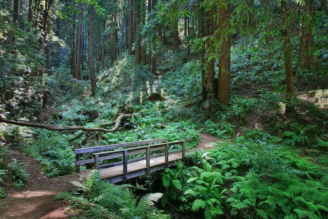 Images Nantucket Whale Inn