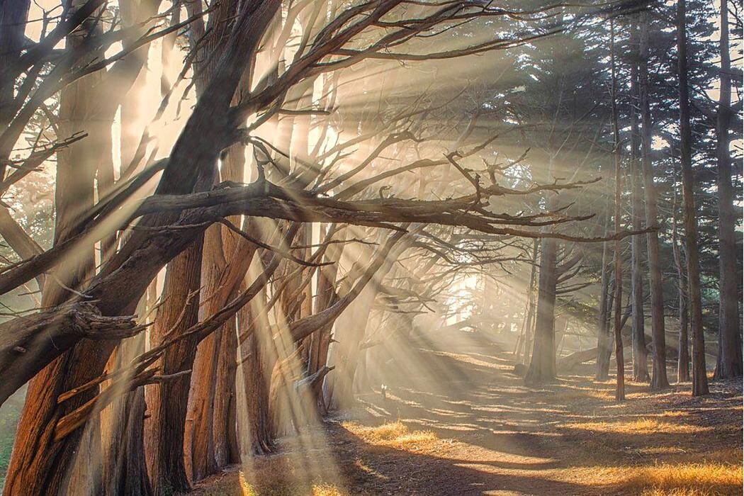 Images Nantucket Whale Inn