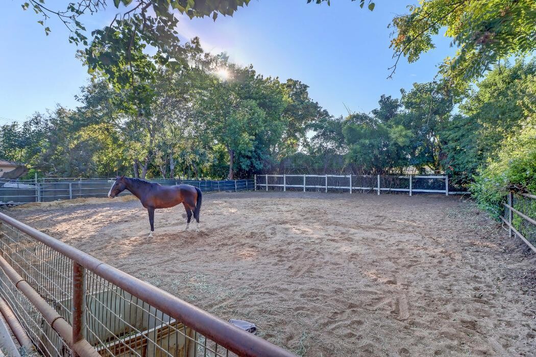 Images Sharon Kaak Real Estate