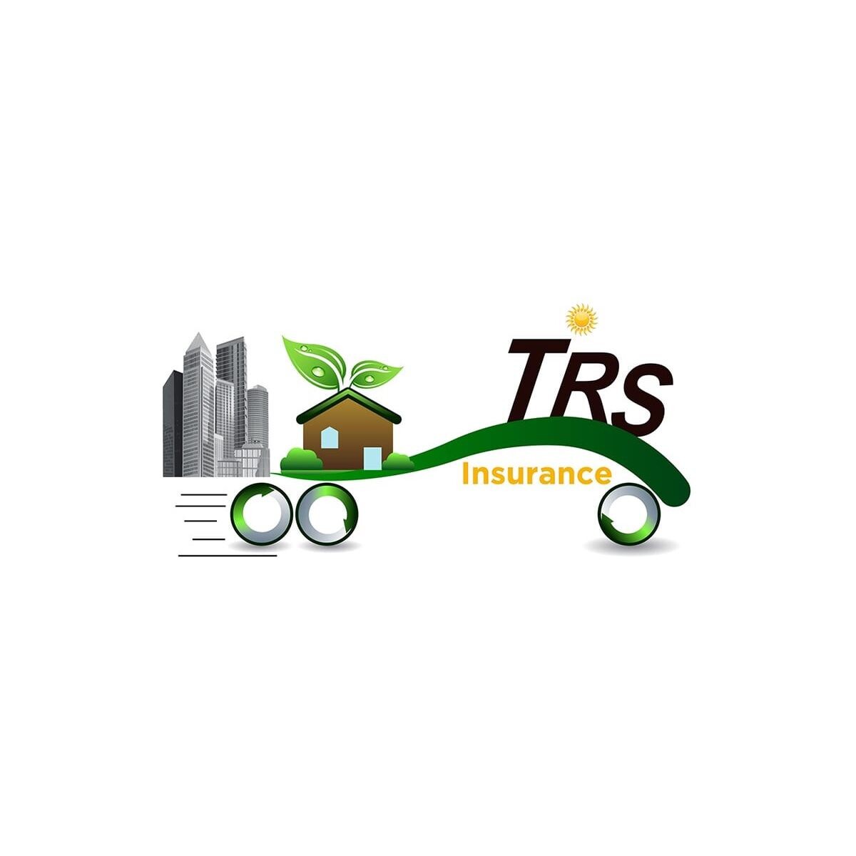 Trans Risk Solutions llc Logo