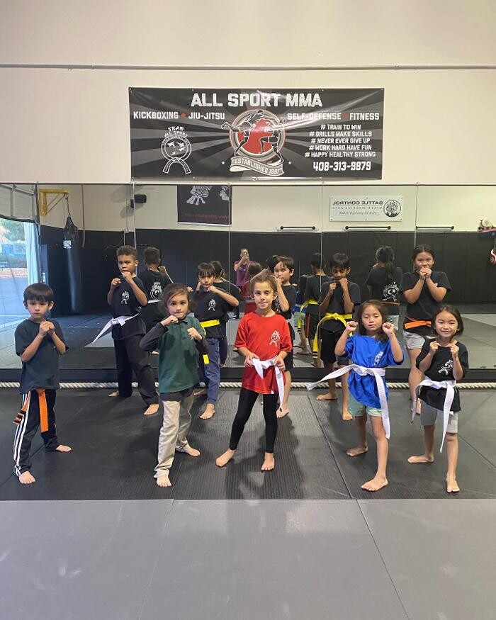 Images All Sport MMA