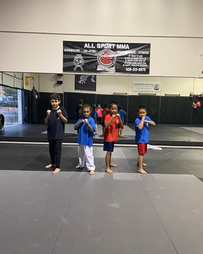 Images All Sport MMA