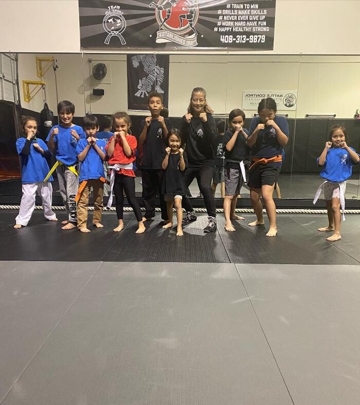 Images All Sport MMA