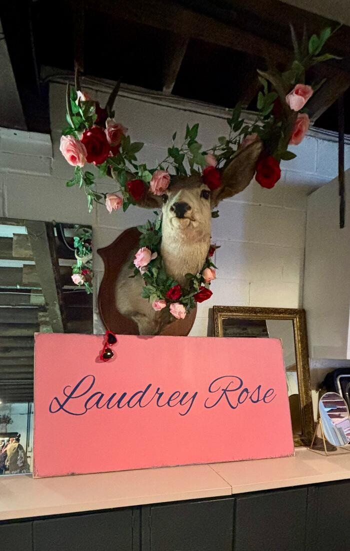 Images Laudrey Rose