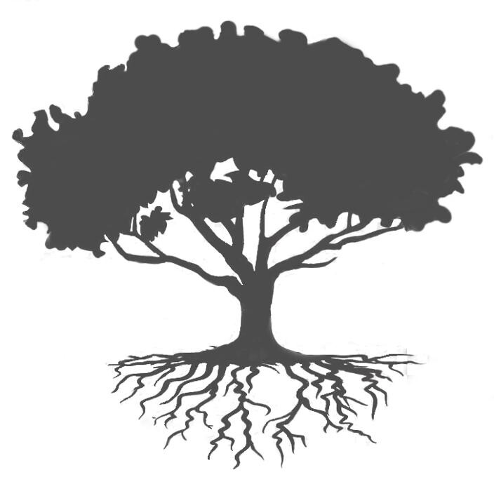 Images Rooted Chiropractic & Wellness