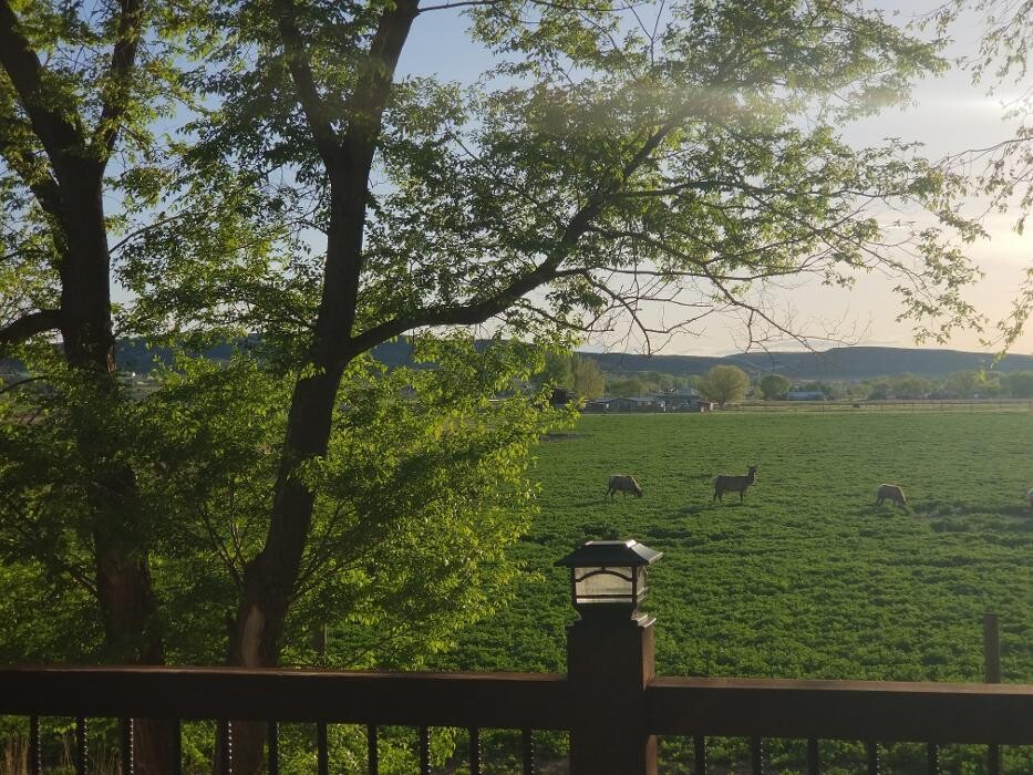 Images Stephanie Sternes Counseling