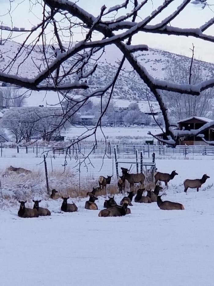 Images Stephanie Sternes Counseling