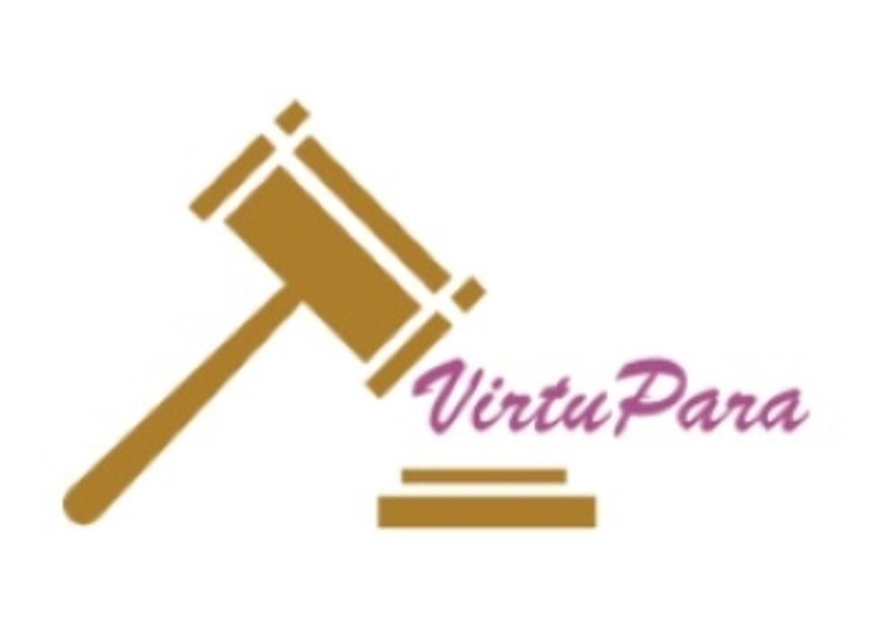VirtuPara, LLC Logo