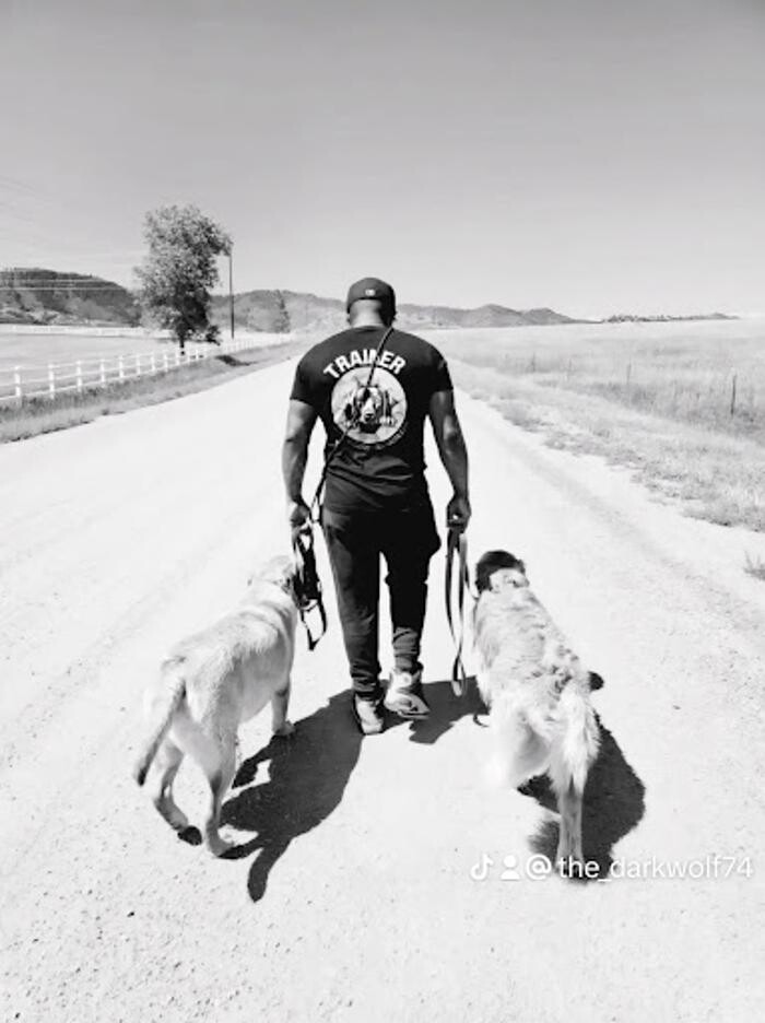 Images A Dog's World
