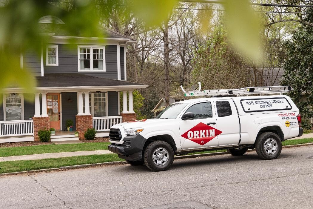 Images Orkin