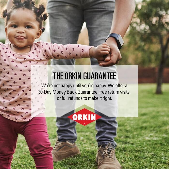 Images Orkin