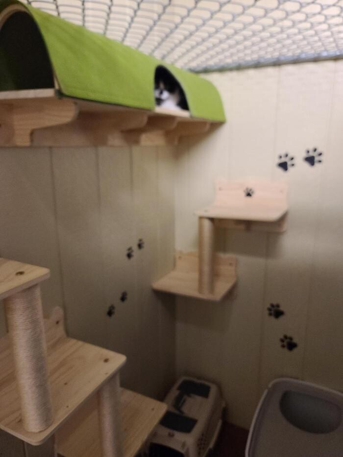 Images Laura's Dog Retreat