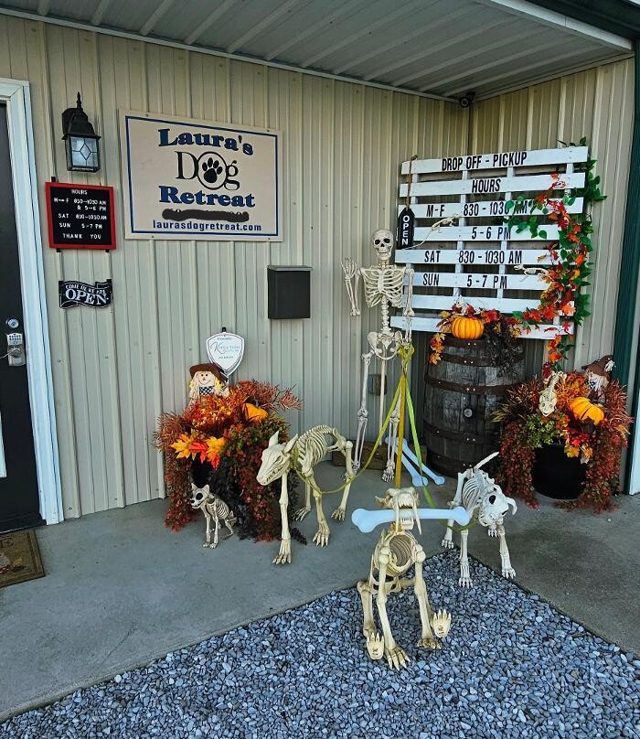 Images Laura's Dog Retreat