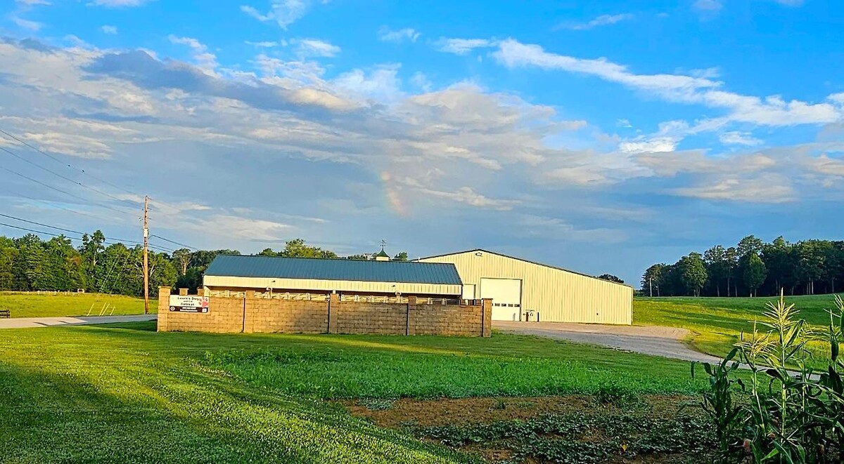 Images Laura's Dog Retreat