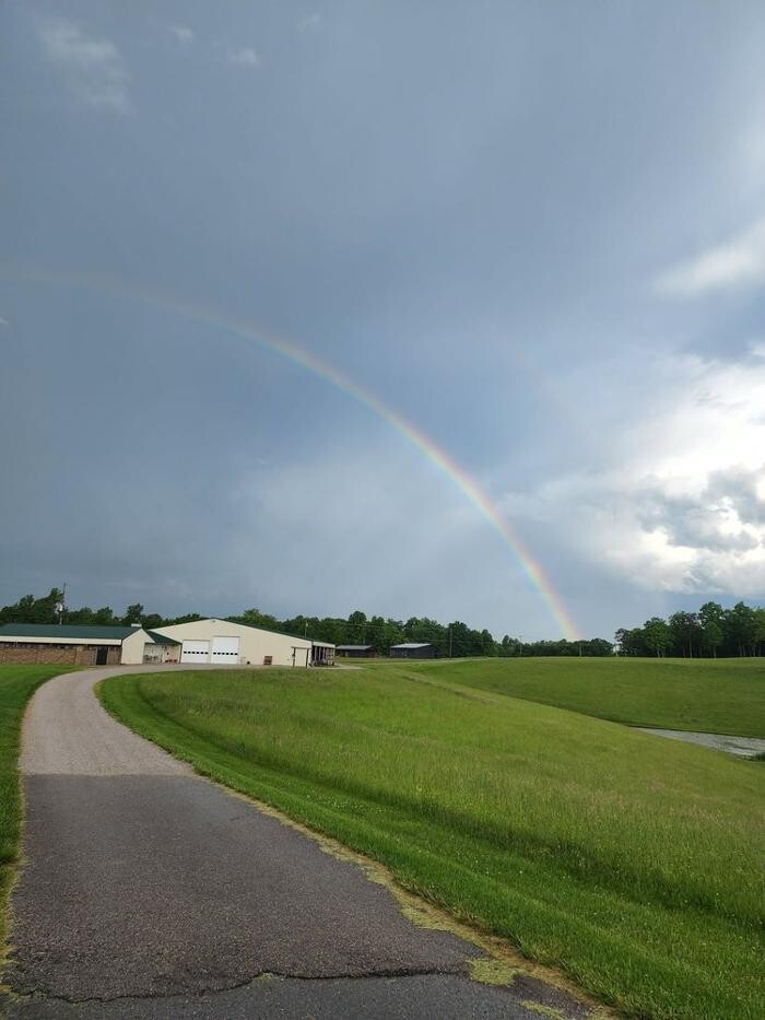 Images Laura's Dog Retreat