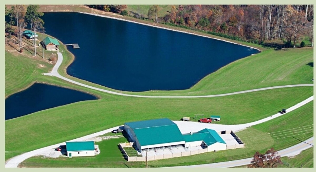 Images Laura's Dog Retreat