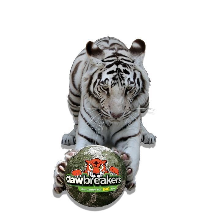 Images E.A.T.s. - Edible Animal Treats, Inc.