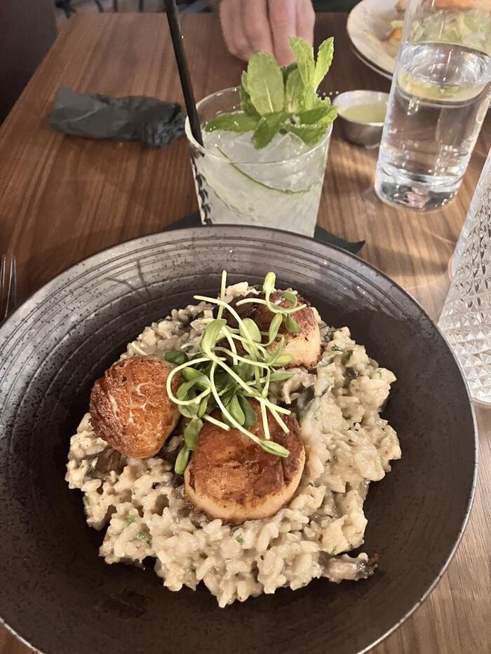 Images Born & Bred - Scottsdale