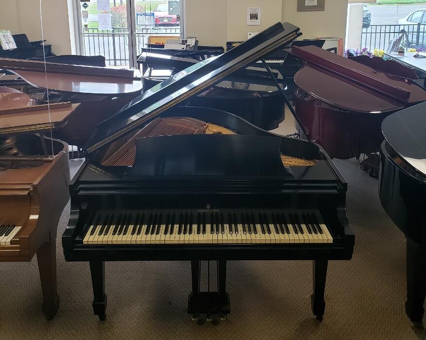 Images B Natural Pianos & Music School