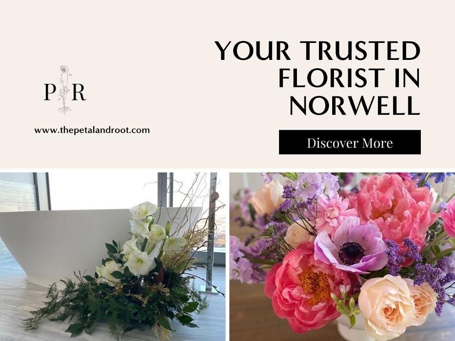Images Petal and Root