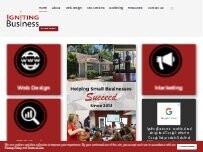 Website Screenshot Igniting Business