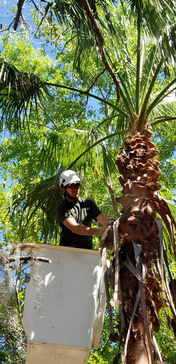 Images Brown's Tree Service