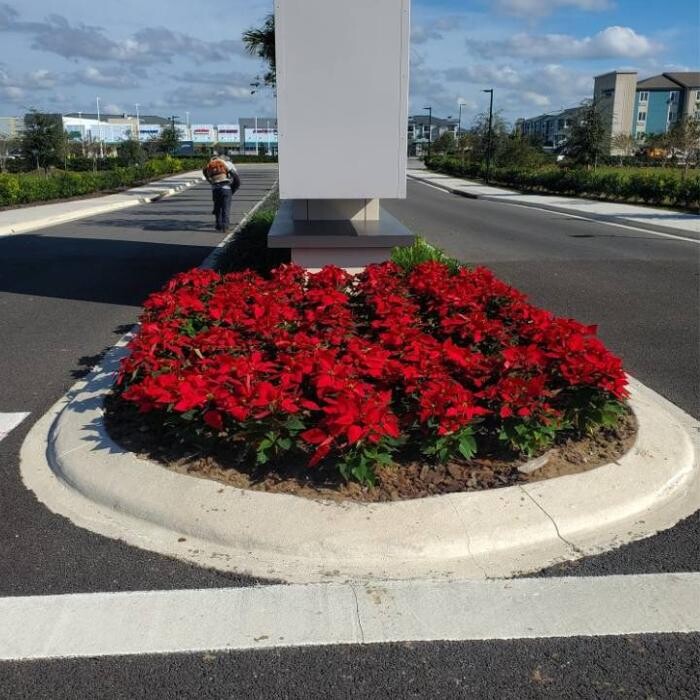 Images Panorama Landscaping