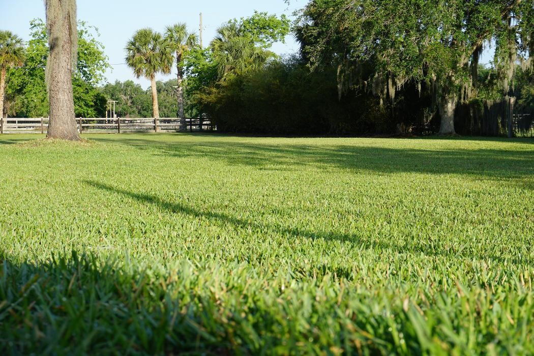 Images Panorama Landscaping