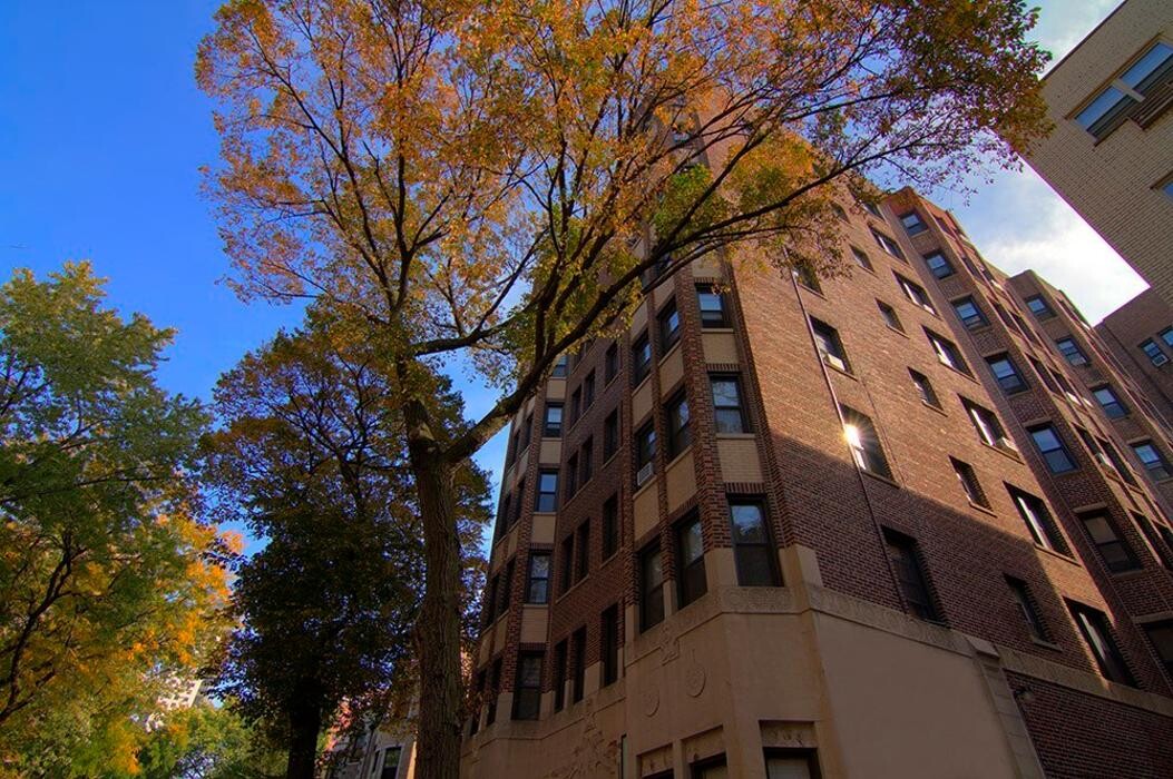 Images 515 W Briar - PPM Apartments