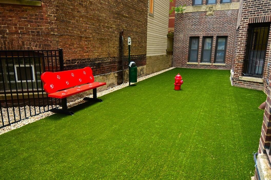 Images 515 W Briar - PPM Apartments