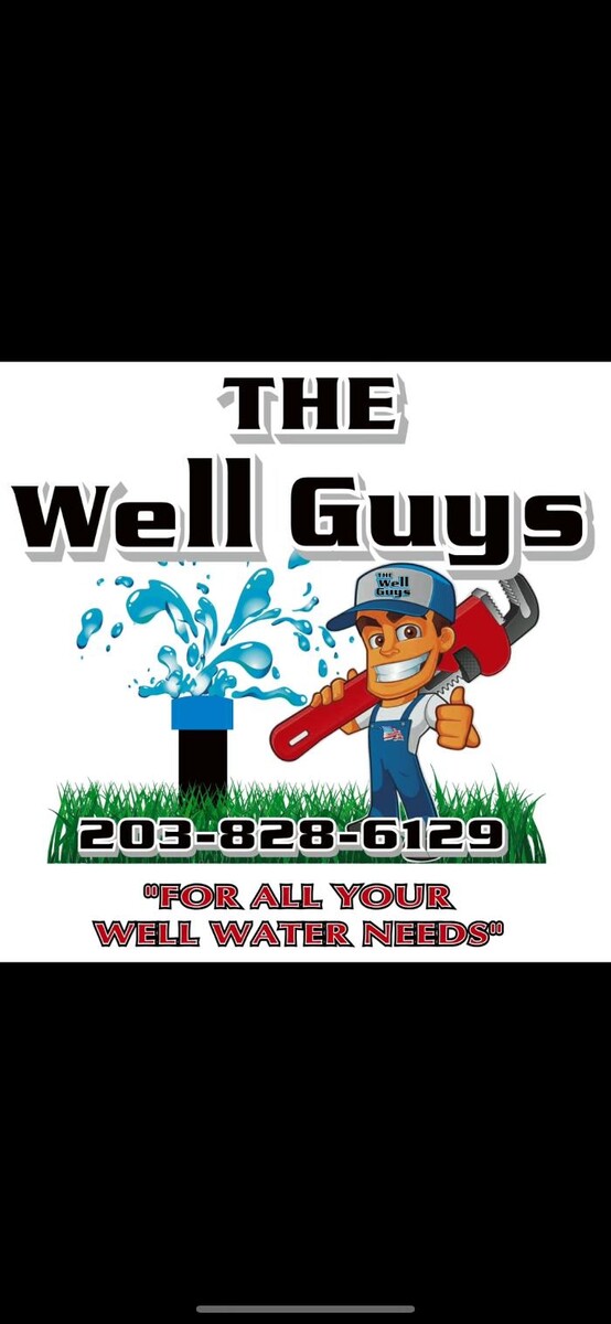 The Well Guys Logo