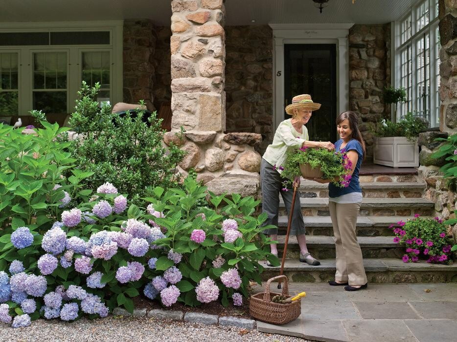 Images LifeWorx Home Care