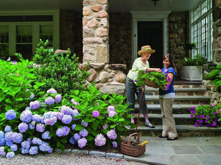 Images LifeWorx Home Care