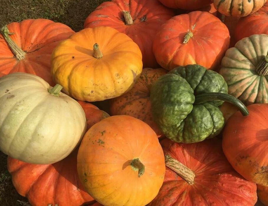 Images Brown's Harvest