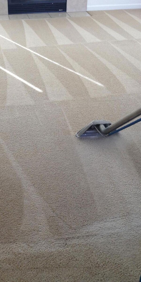 Images Carpet Cleaning in Cullman Alabama