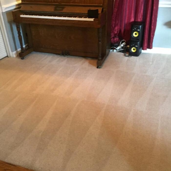 Images Carpet Cleaning in Cullman Alabama