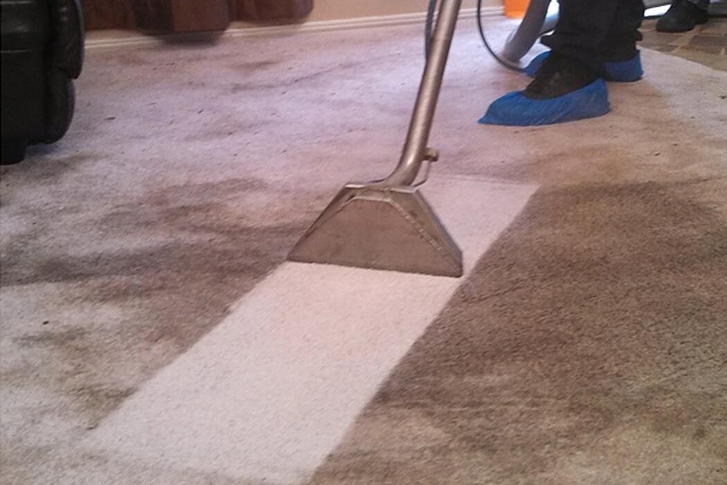 Images Carpet Cleaning in Cullman Alabama