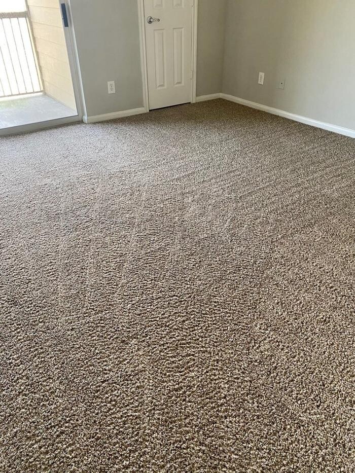 Images Carpet Cleaning in Cullman Alabama