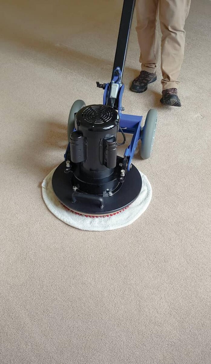 Images Carpet Cleaning in Cullman Alabama