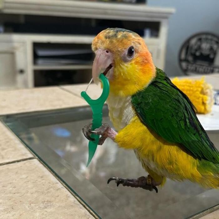 Images Ocean Pediatric Dental Associates